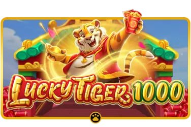 55bb bet